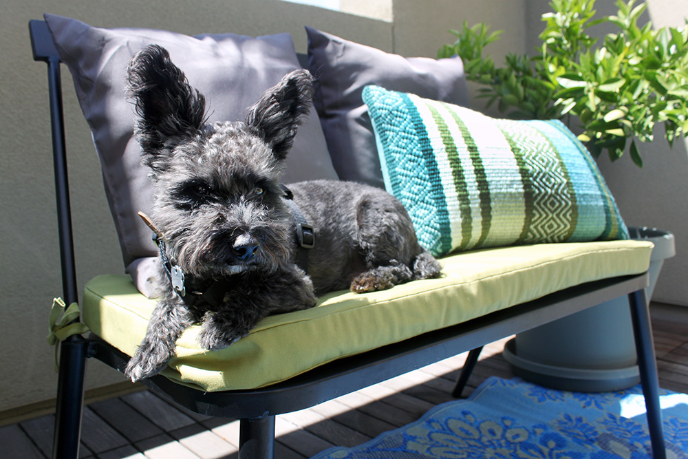 charlie cushion deck diy