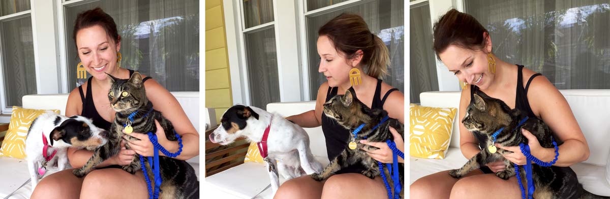 And Then We Tried Obsessions: loving statement earrings. And always loving these pets.